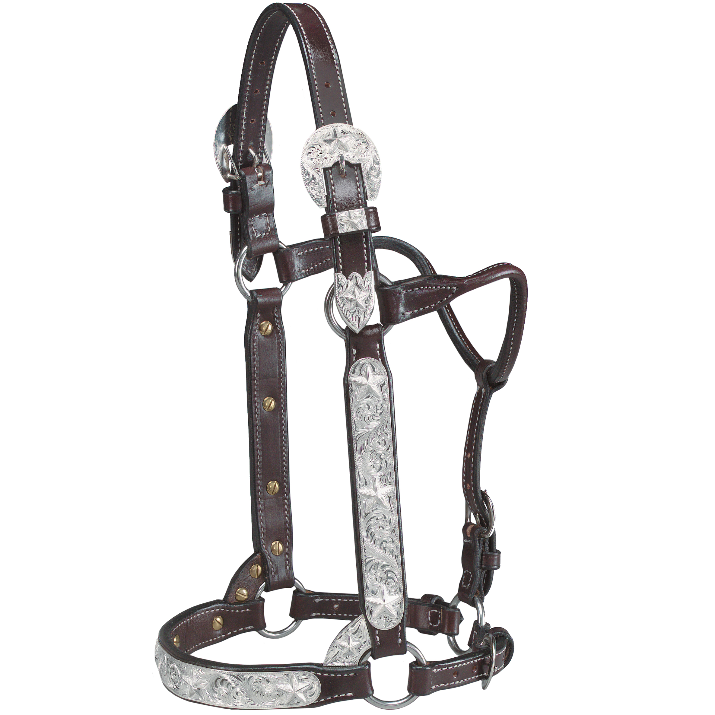 Crawford Custom Leather - New Louis Vuitton Mule Tape Halter with