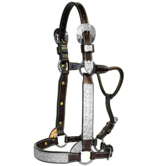 Mare-2 Year Old Halters