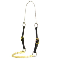 Training Halters
